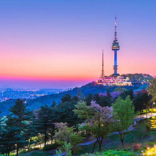 N Seoul Tower + Namsan Cable Car Ticket (Collect in Myeongdong)