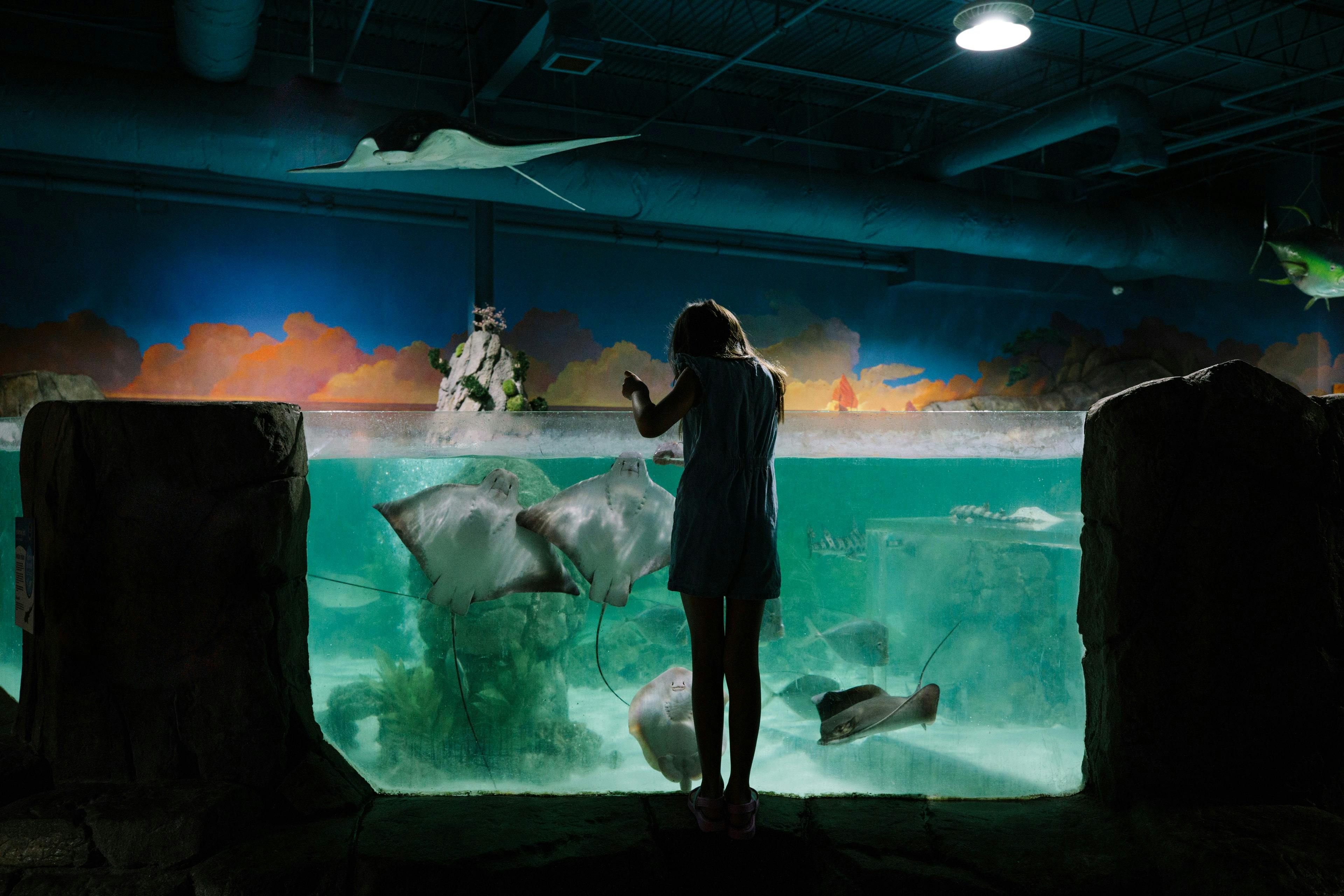 SeaQuest Fort Worth tickets | Fort Worth