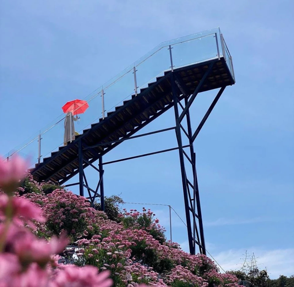 A person with a red umbrella stands on a tall metal platform above a field of pink flowers under a clear blue sky.