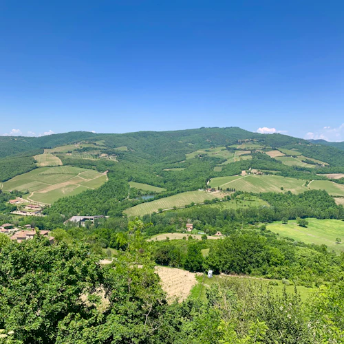Chianti: Guided Wine Tour from Florence + Tasting - Photo 12