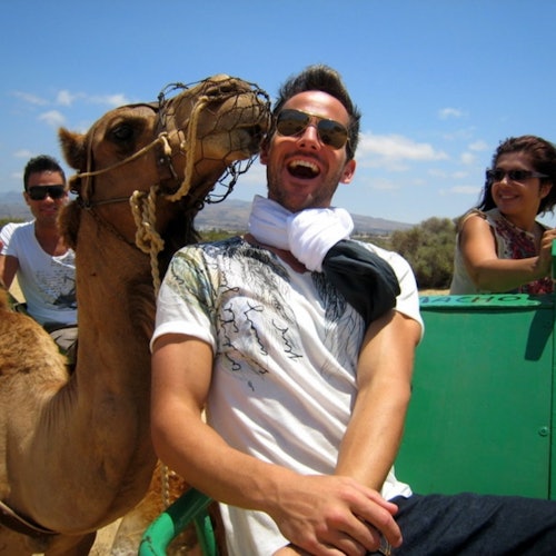 Paseo en camello por las dunas de Maspalomas
