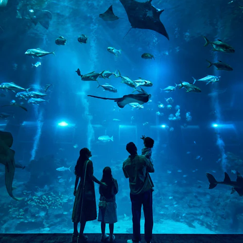Singapore Oceanarium: Entry Ticket - Photo 5
