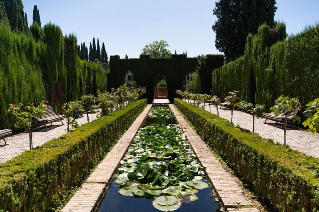 Alhambra: Visita guiada para pequenos grupos + degustações - Photo 8