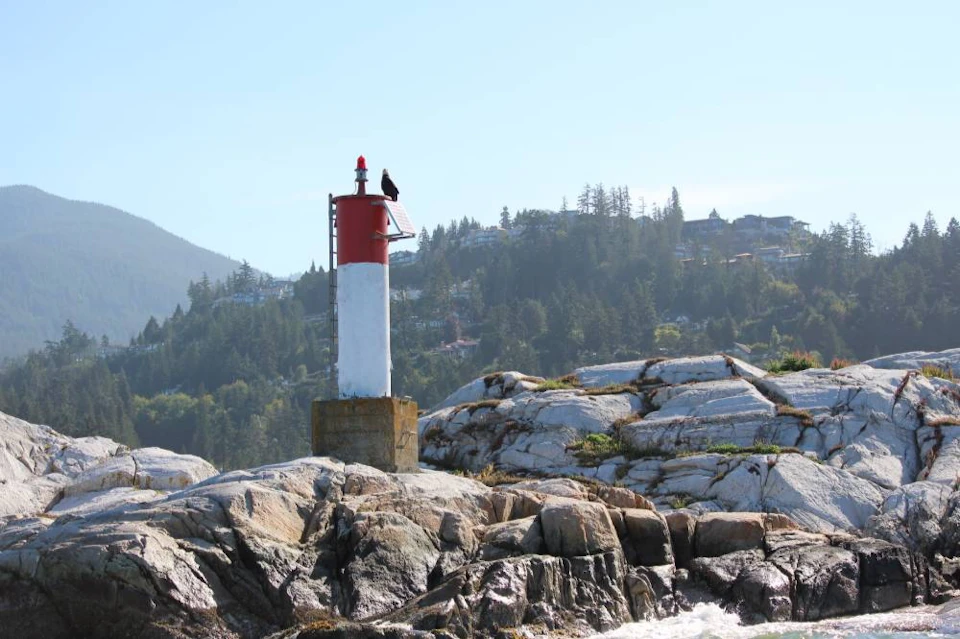 UNESCO Biosphere & Bowen Island boat tour