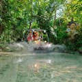 Visite de la forêt tropicale en véhicule amphibie