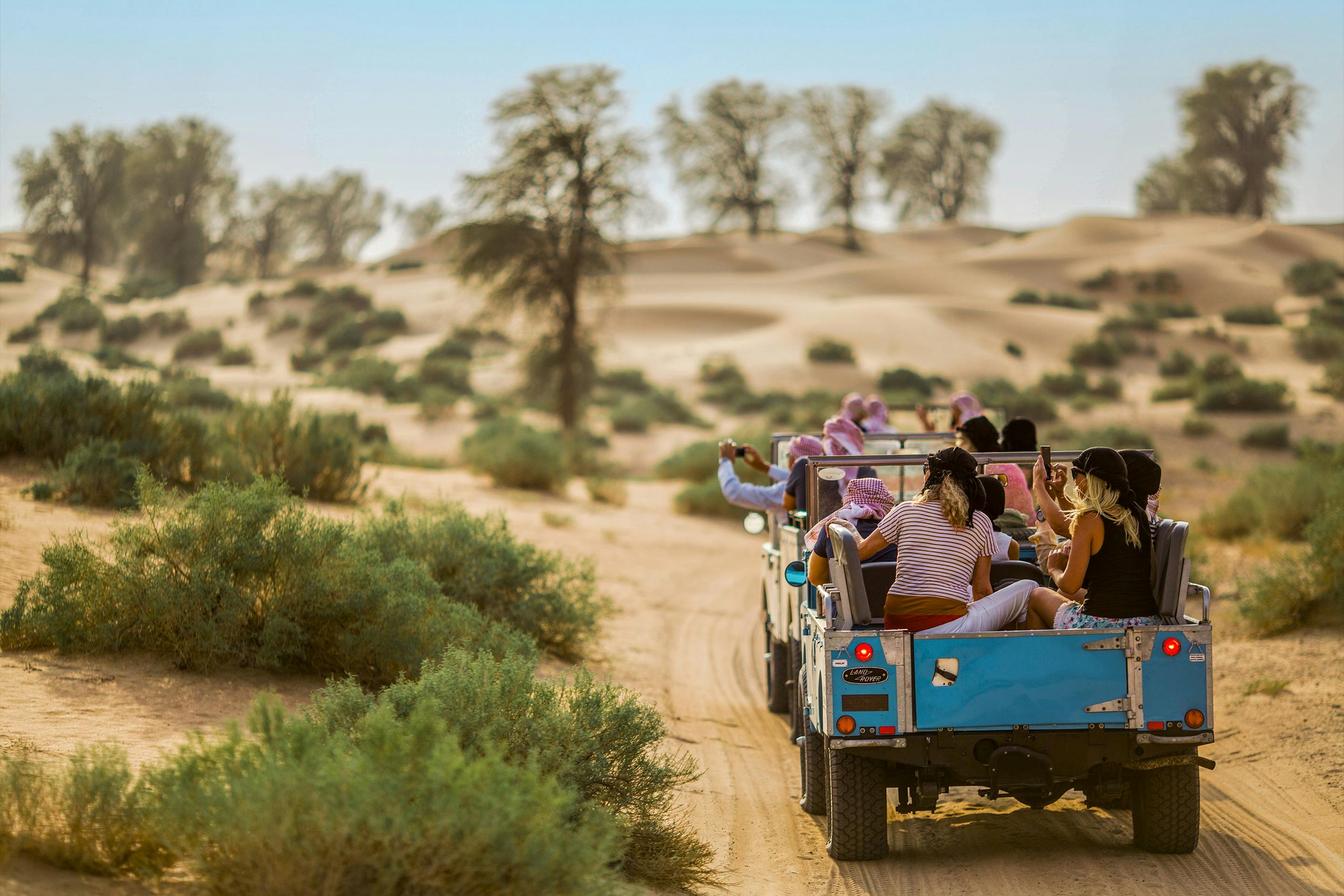 砂丘と散乱した低木が散在する砂漠の風景の中を、オープントップの車に乗った人々のグループ。