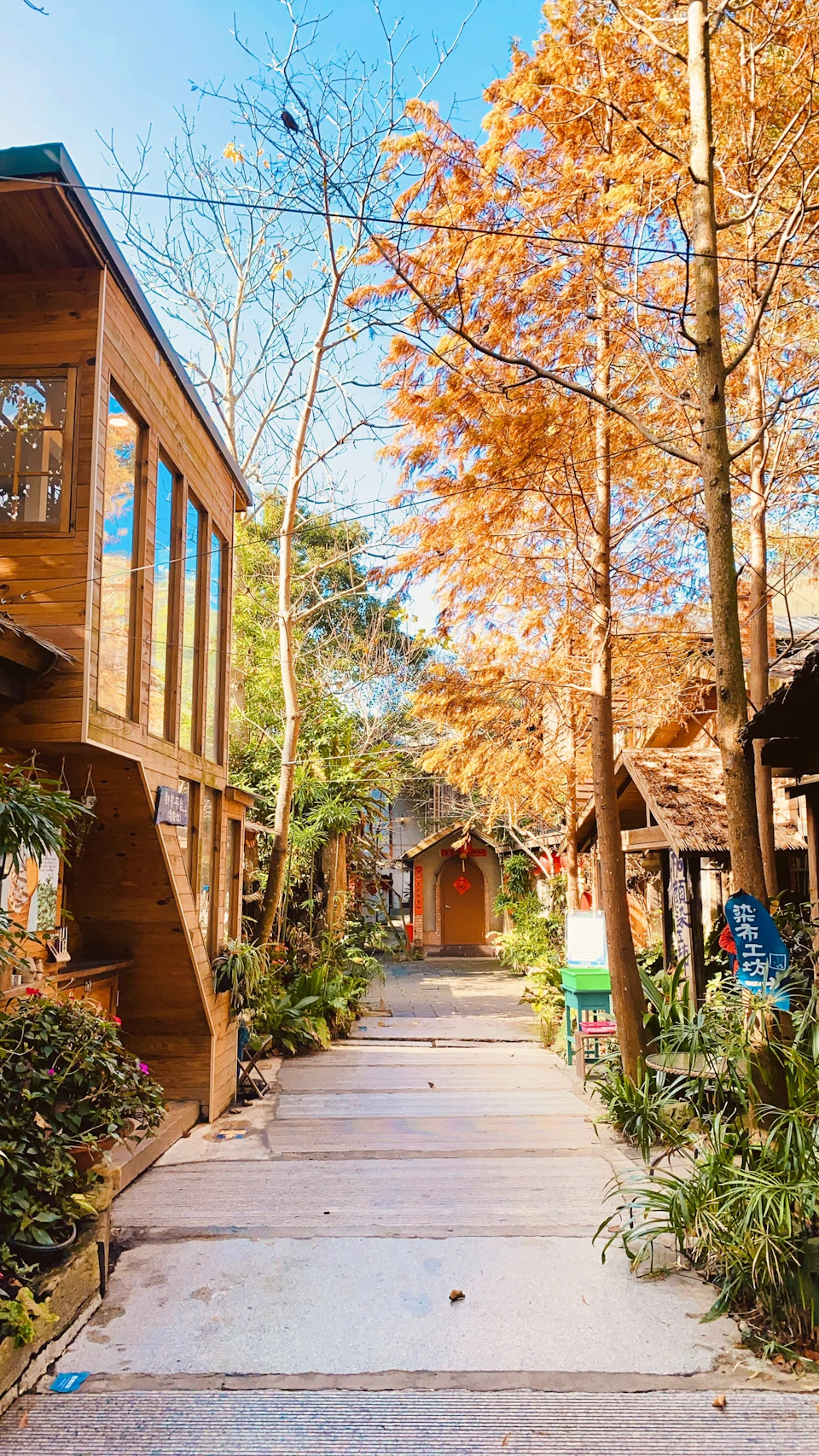 A cozy outdoor alley with wooden buildings, autumn trees, and plants under a bright blue sky.