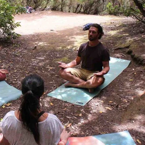 Parque Rural de Anaga: Guided Forest Tour with Wellness Activities - Photo 3