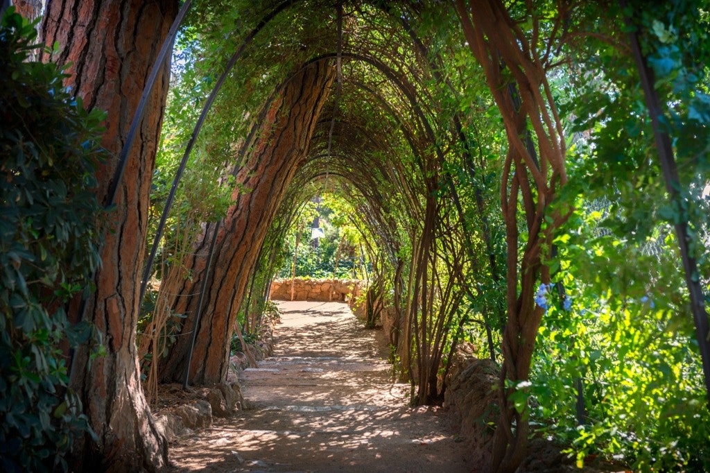 Park Güell & Gaudi House Museum: Entry Ticket + Audio Guide