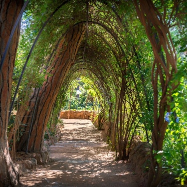 Park Güell & Gaudi House Museum: Entry Ticket + Audio Guide