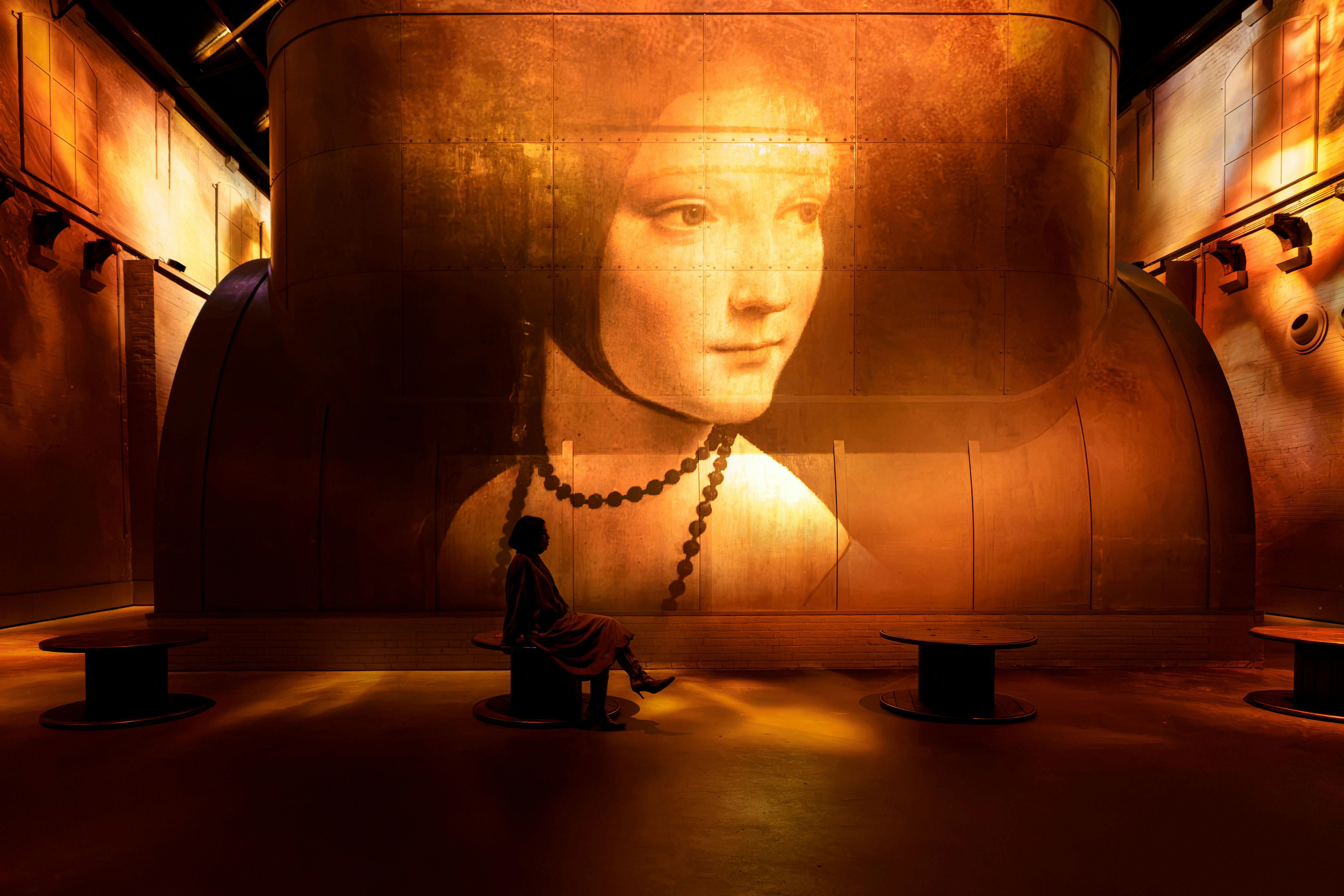 Fabrique des Lumieres: Da Vinci, Raphael, Michelangelo - The Renaissance Masters - Photo 7