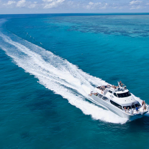 Grande Barreira de Coral: Passeio de barco guiado a partir de Cairns + Snorkelling + Almoço - Photo 12