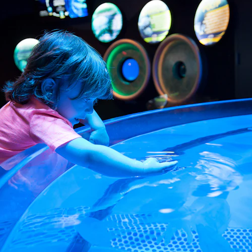 Ripley's Aquarium Myrtle Beach: Entry Ticket