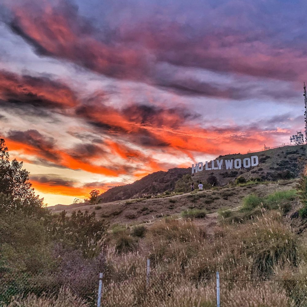 שלט הוליווד בלוס אנג'לס צילום מתוך אתר tiqets - למטייל (12)