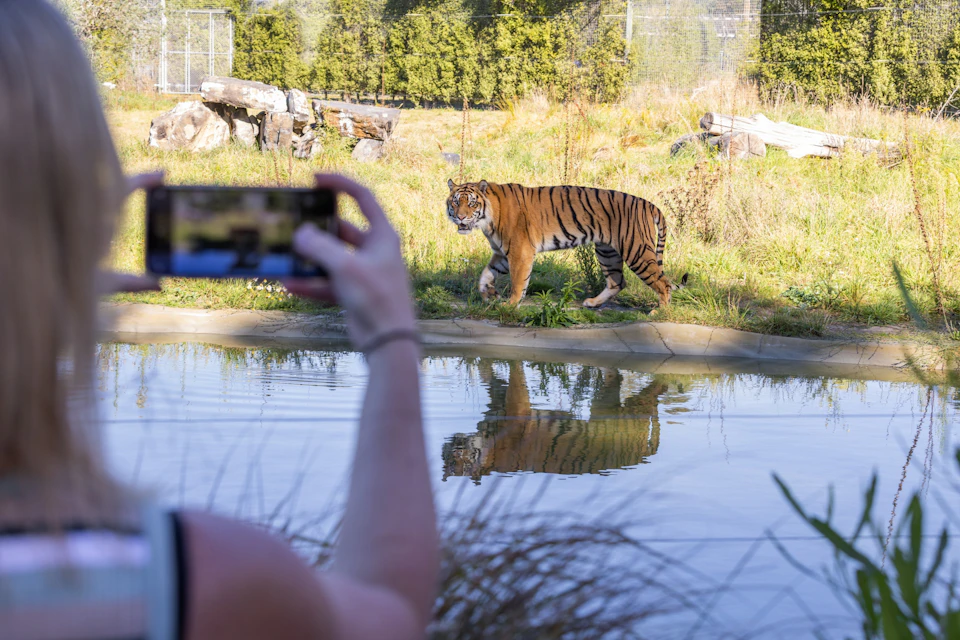 Orana Wildlife Park: General Admission Ticket