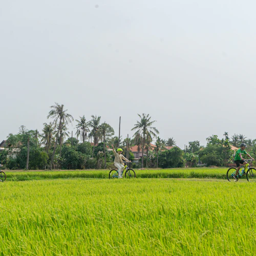 Siem Reap: Countryside Bike Tour - Photo 2