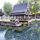 Mushrif Park