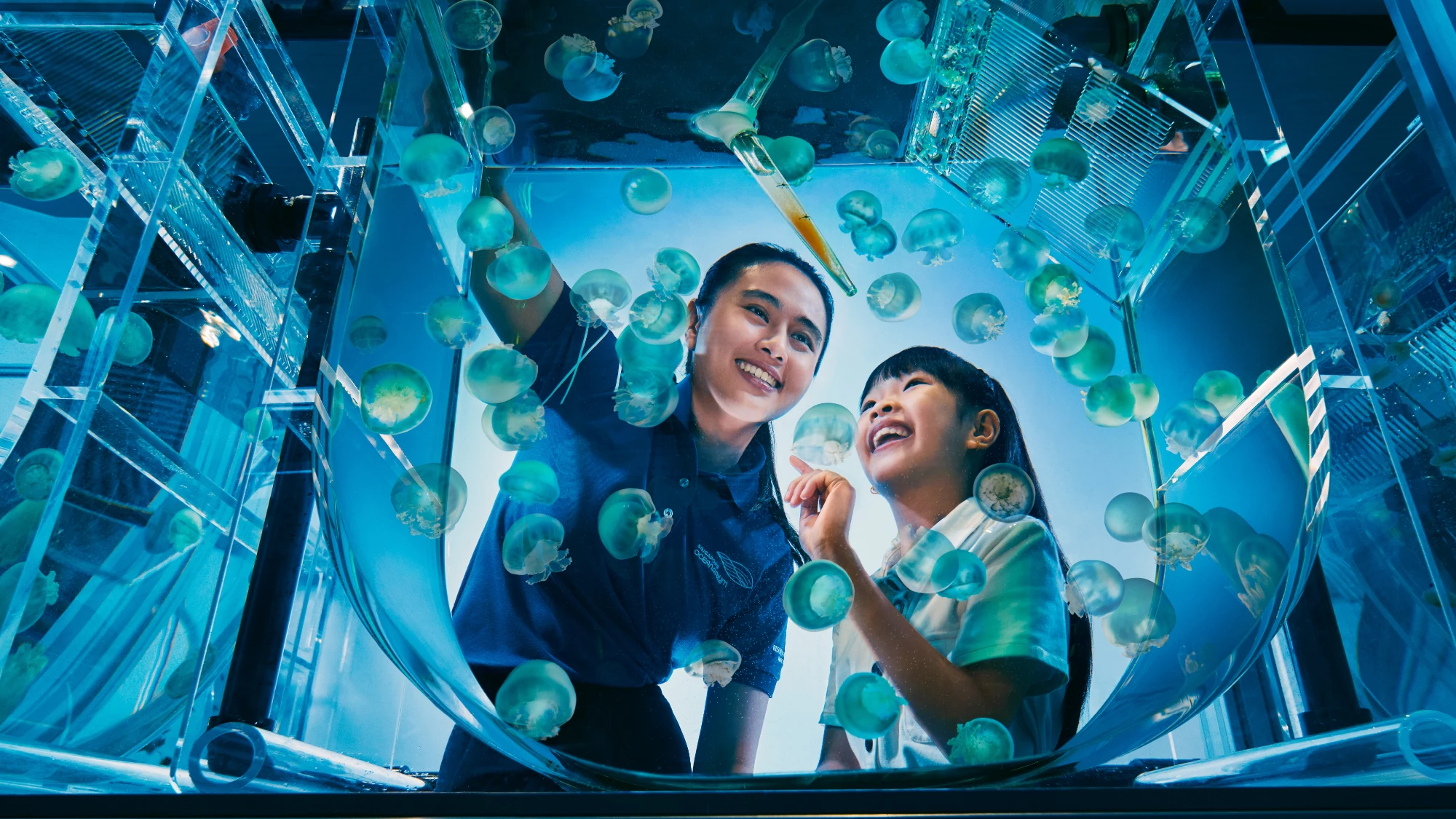 Singapore Oceanarium: 1-Day Ticket + Animal Spotlight on Sea Jellies with English Guide