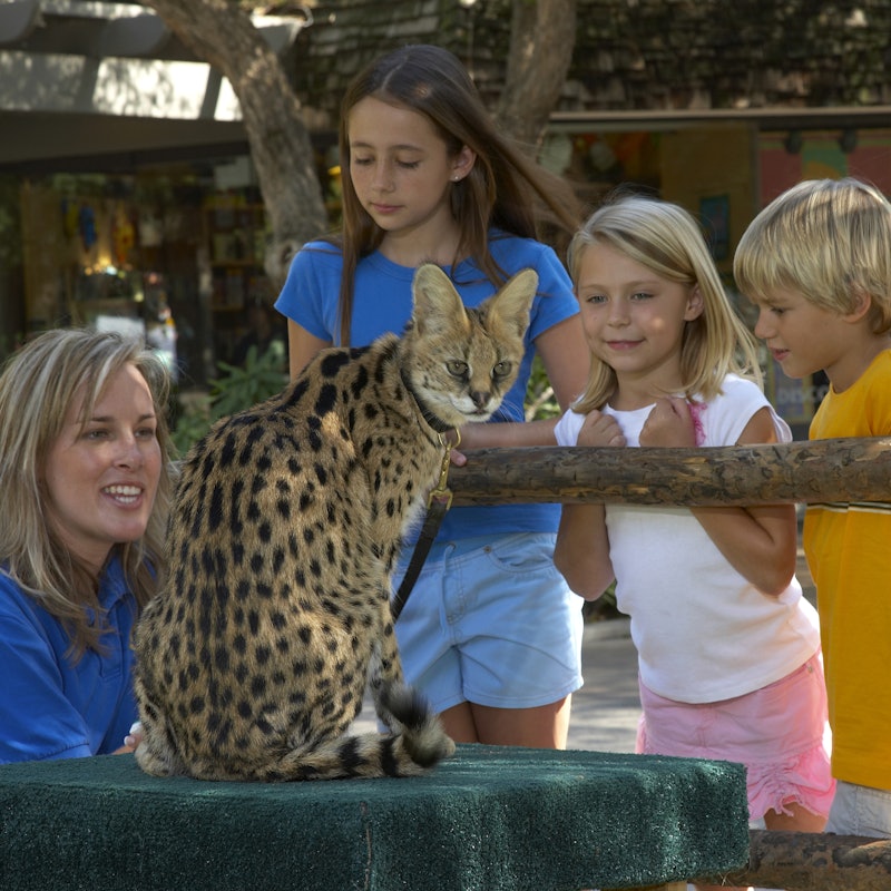 サンディエゴ動物園サファリパークのチケット ー サンディエゴ Tiqets Com サンディエゴ動物園サファリパークのチケット ー サンディエゴ Tiqets Com