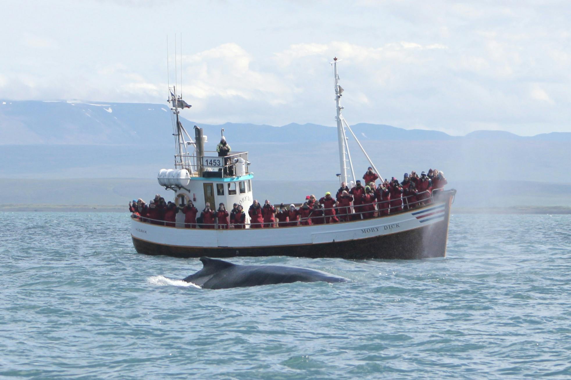Una balena viene a galla vicino a una barca piena di persone sull'acqua, con un paesaggio montuoso sullo sfondo.