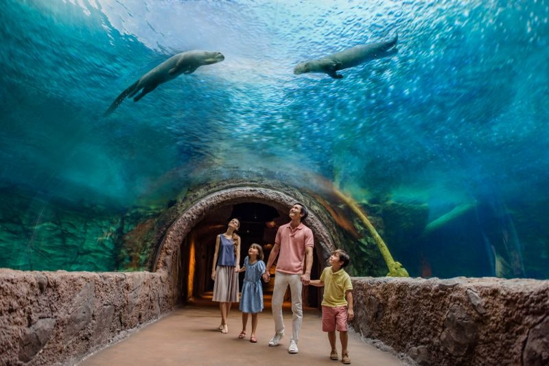 Maravillas fluviales de Singapur: Entrada