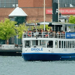 Toronto Harbour: 60-Minute Narrated Sightseeing Cruise 5