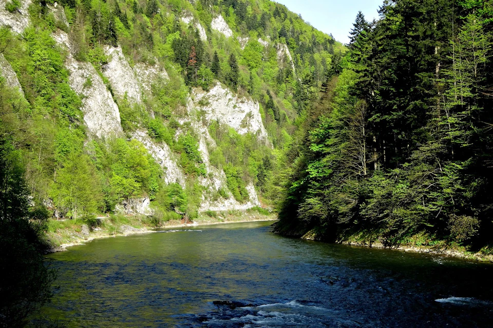 Dunajec River