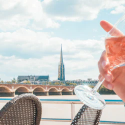 Bordeaux: Guided River Cruise + Drinks 5