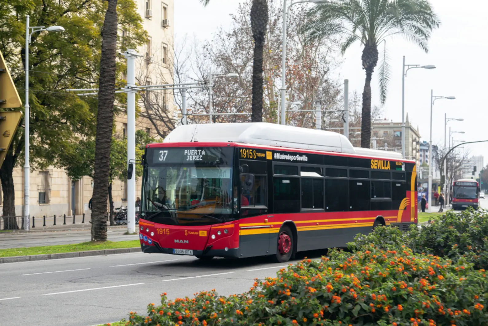 Transfers em Sevilha