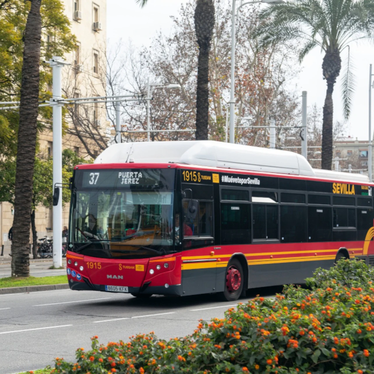 Seville: One-Way Transfer from City Center to Airport