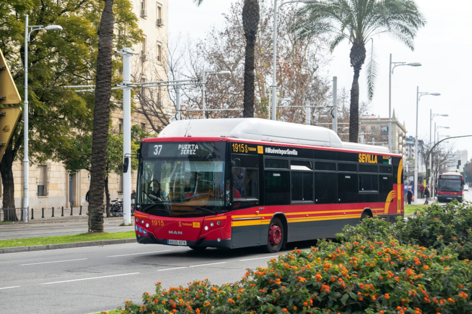 Seville: One-Way Transfer from City Center to Airport
