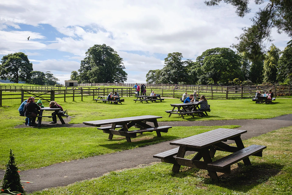 People seated at wooden picnic tables on a grassy area with fenced pastures and trees in the background under a partly cloudy sky.