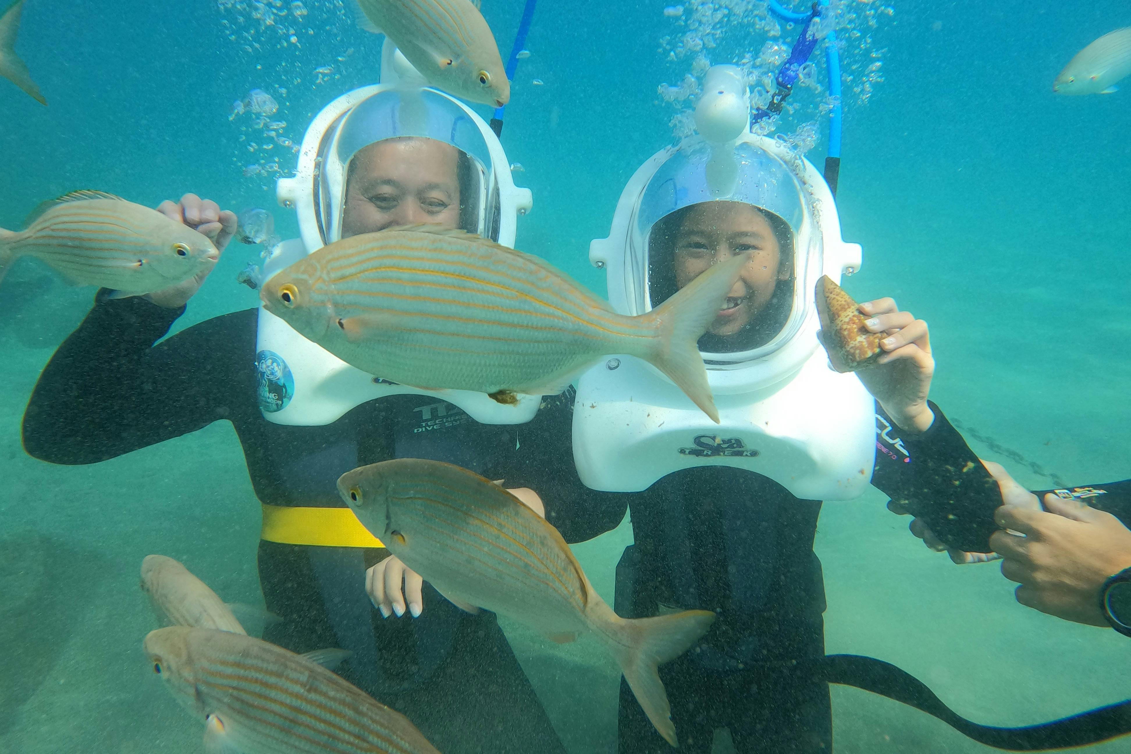 Two people underwater, wearing helmets and wetsuits, surrounded by striped fish. One holds a shell, both look joyful.