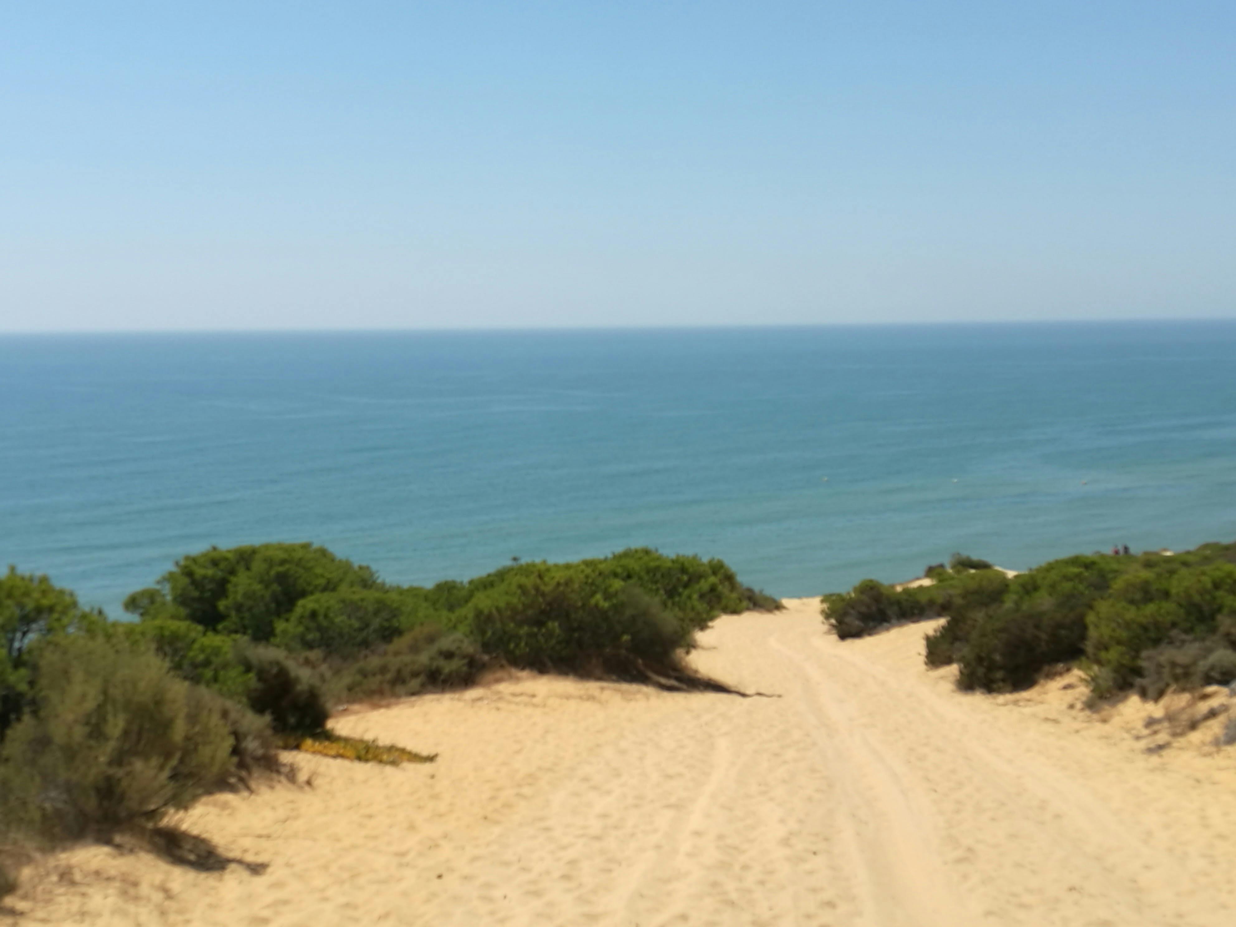 Un chemin de sable mène à un océan calme, bordé d'arbustes verts sous un ciel bleu clair.
