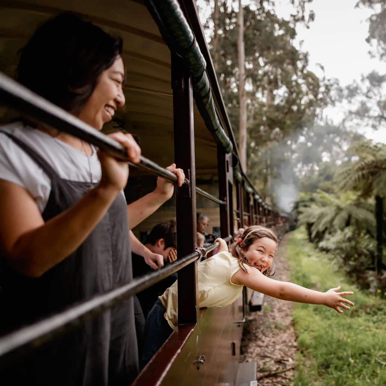 Puffing Billy Railway: Roundtrip Ticket in Belgrave β Tiqets