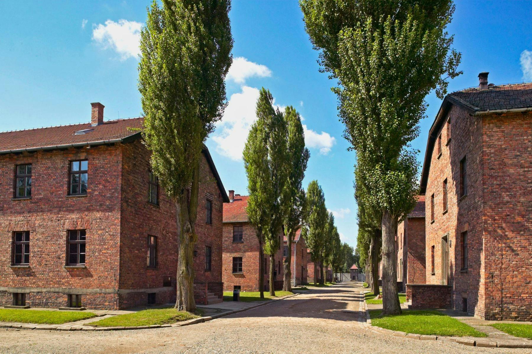 Auschwitz-Birkenau: Tour guidato — 5