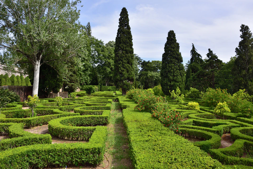 Geometric hedges form a labyrinth in a landscaped garden with tall, narrow trees and abundant greenery under a clear sky.