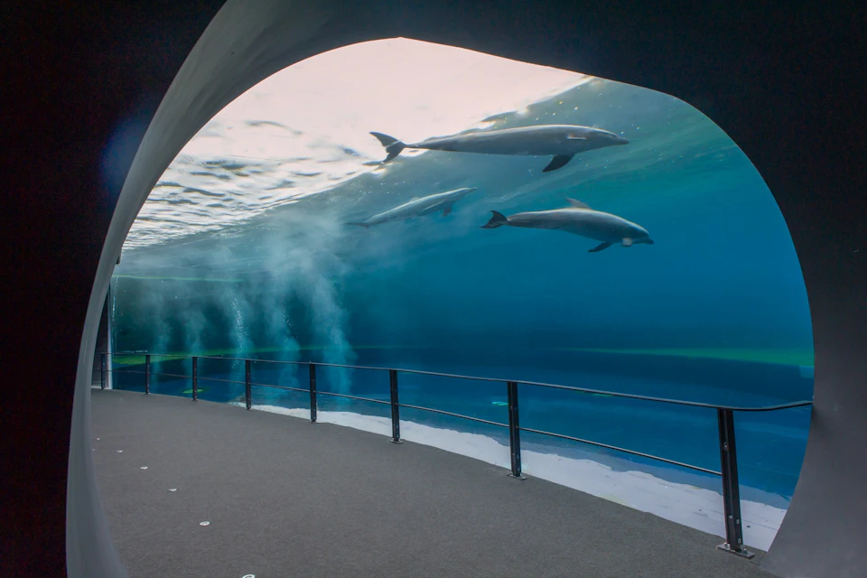 Genoa Aquarium
