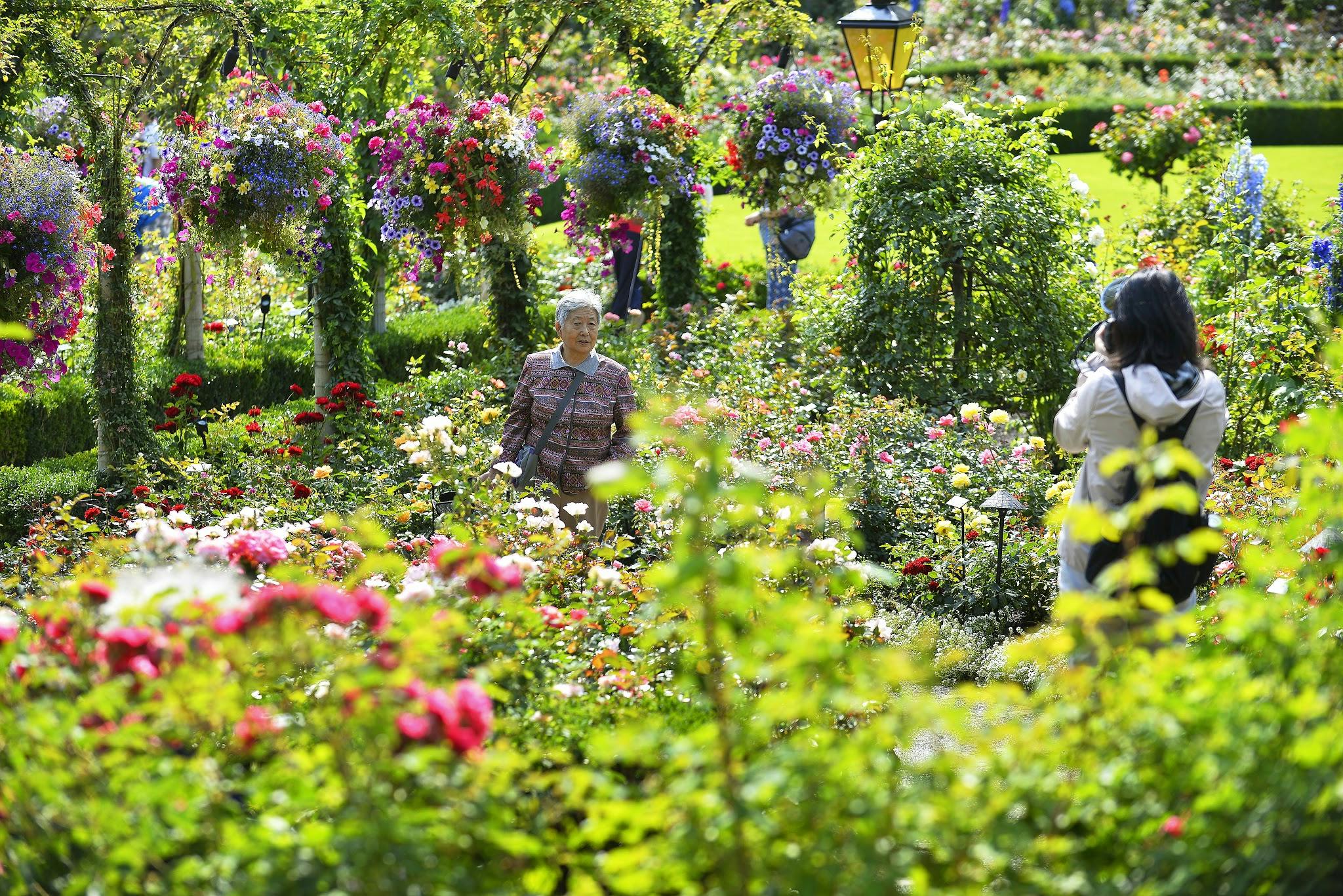 Tickets Victoria Butchart Gardens Day Trip Tiqets