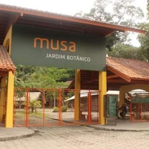 Museos