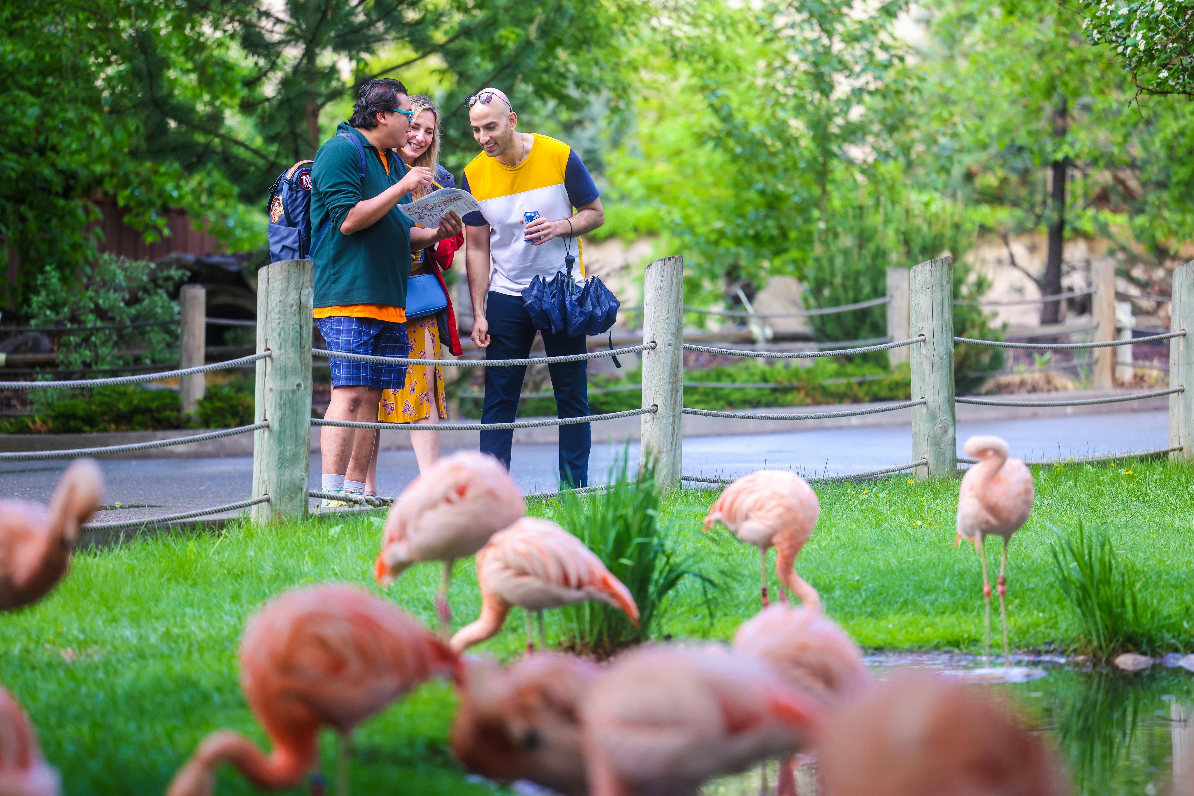세 사람이 미소를 지으며 울타리 근처의 가이드를 바라보고 있으며, 앞쪽에는 홍학이 여러 마리 있고 뒤쪽에는 녹음이 우거져 있습니다.