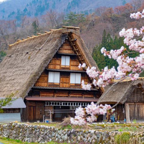 Shirakawa-go: Visita guiada + Visita opcional a Kanazawa e viagem de ida e volta de comboio de alta velocidade - Photo 2