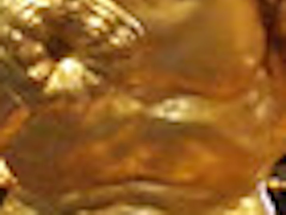 Elaborately decorated golden carriage with intricate carvings, large wheels, and plush red interior in a spacious room with arched ceilings.