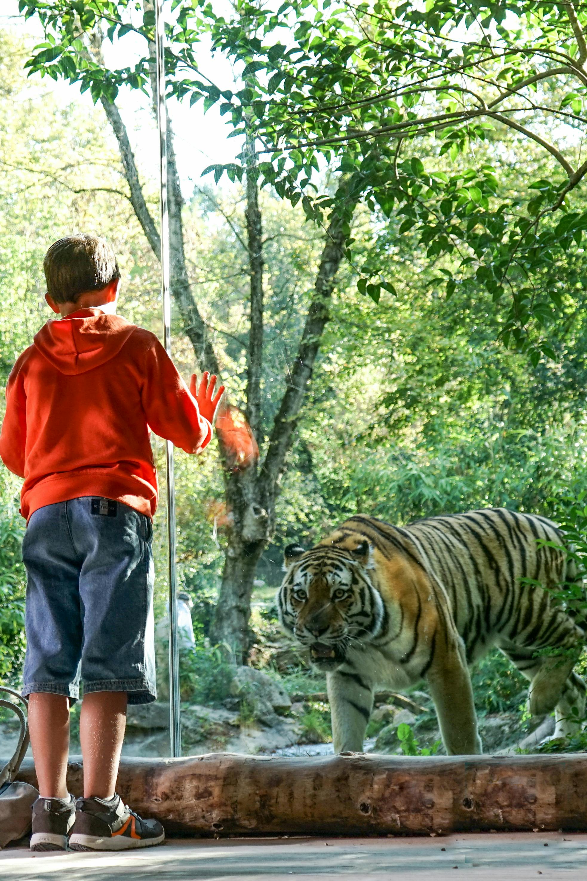 自然野生动物园