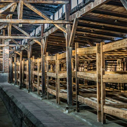 Auschwitz-Birkenau: Guided Tour from Wroclaw 3