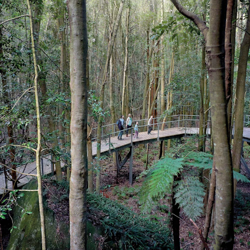 Blue Mountains: Bilhete de entrada para o Scenic World + cruzeiro pelo porto de Sydney - Photo 7