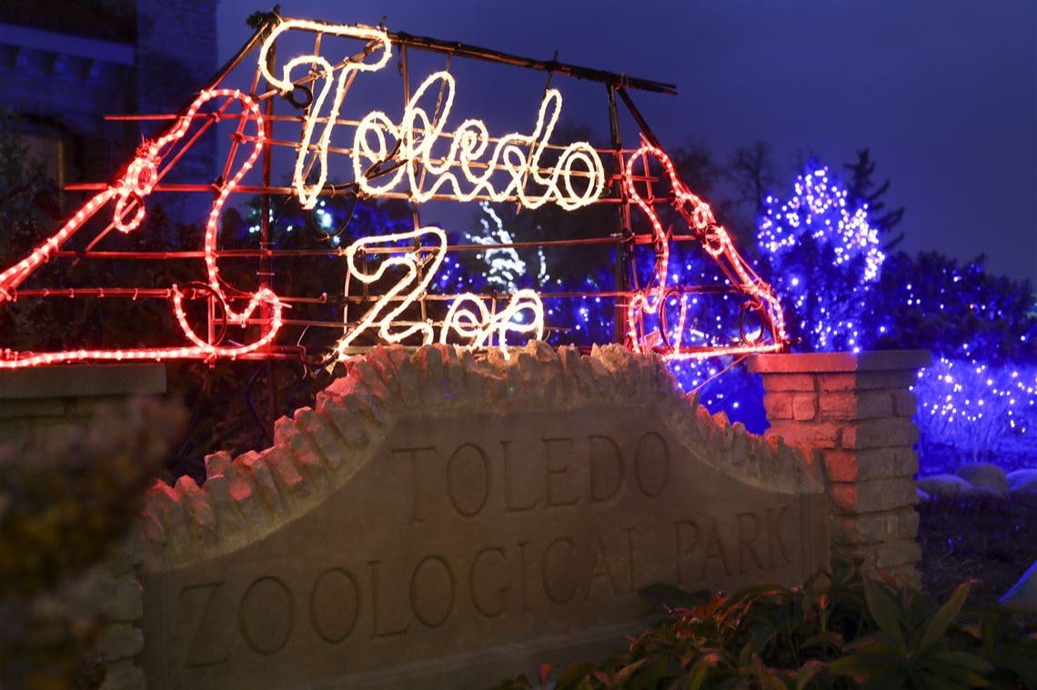 Jardim zoológico de Toledo: Bilhete de entrada para as Luzes antes do Natal - Photo 7