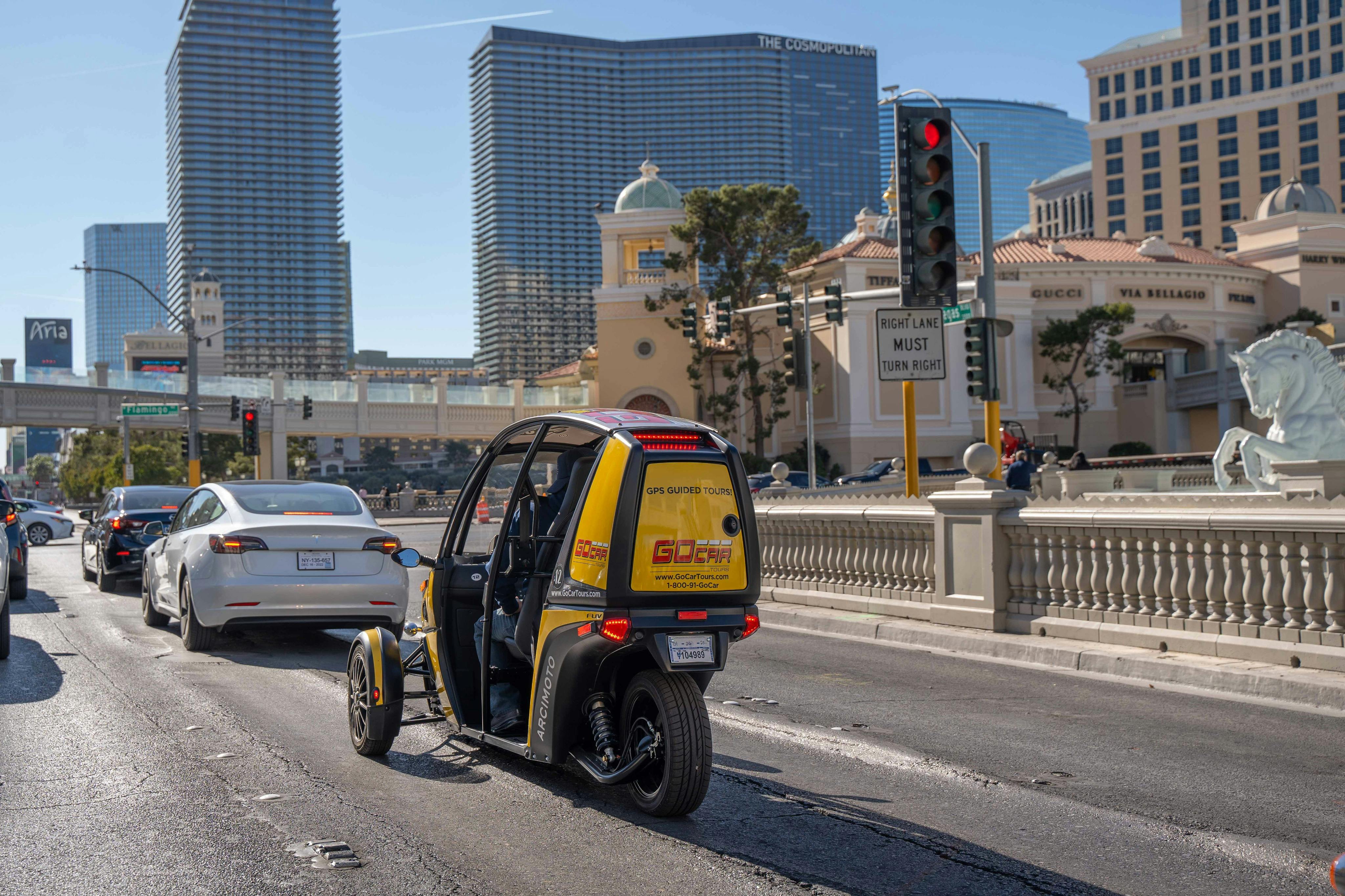 고카 라스베가스