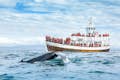 Mergulho com baleias jubarte