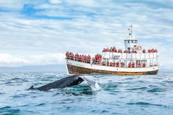 Tours & Sightseeing | Husavik Whale Watching things to do in Husavik Church